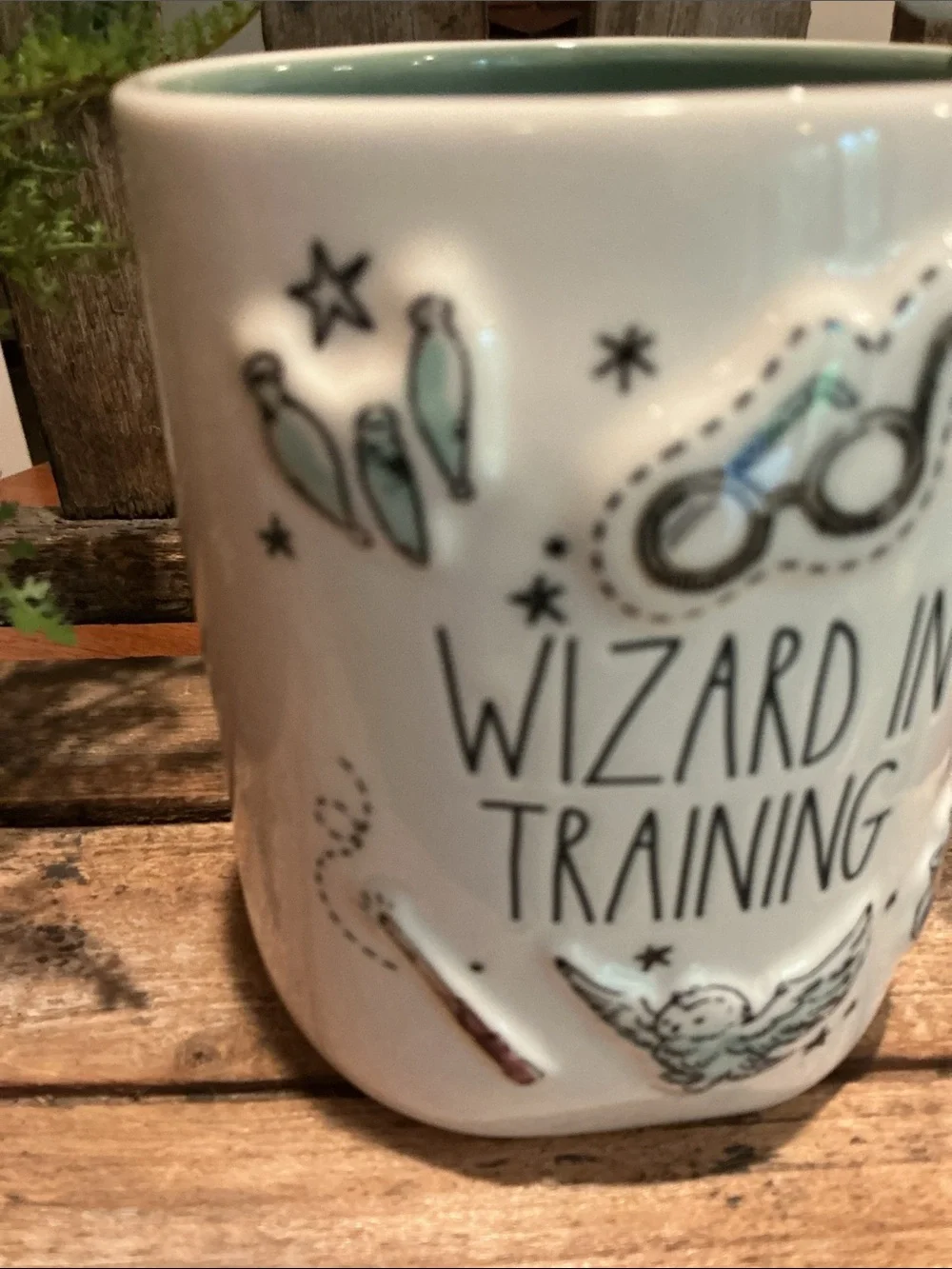 Harry Potter x Rae Dunn brand new